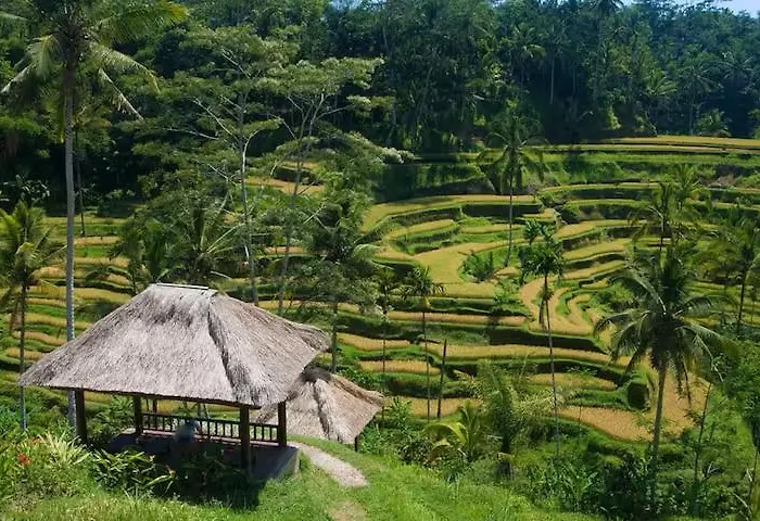 The Secret Garden